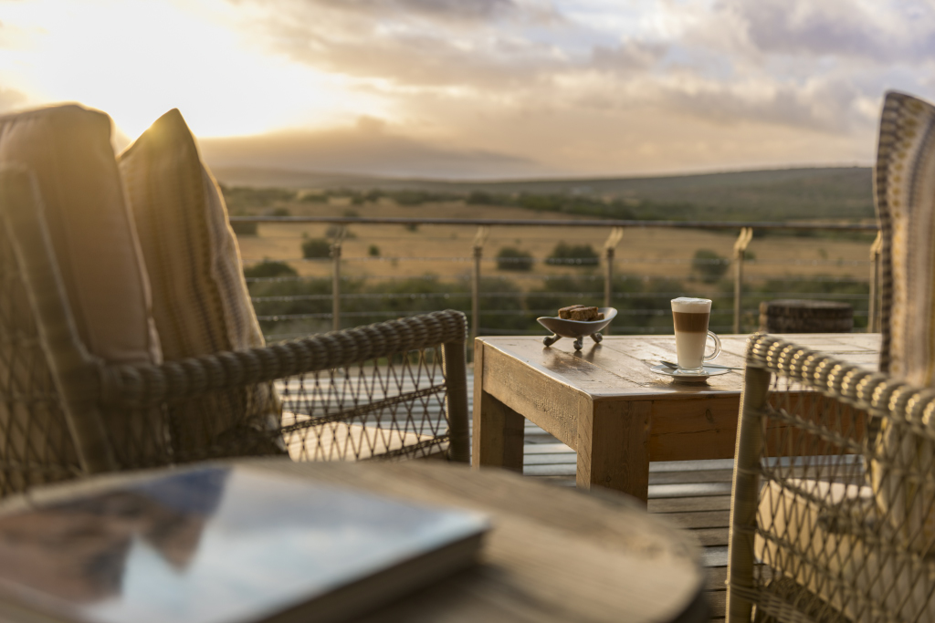 Sarili Lodge - Shamwari Game Reserve - Greater Addo Reservations